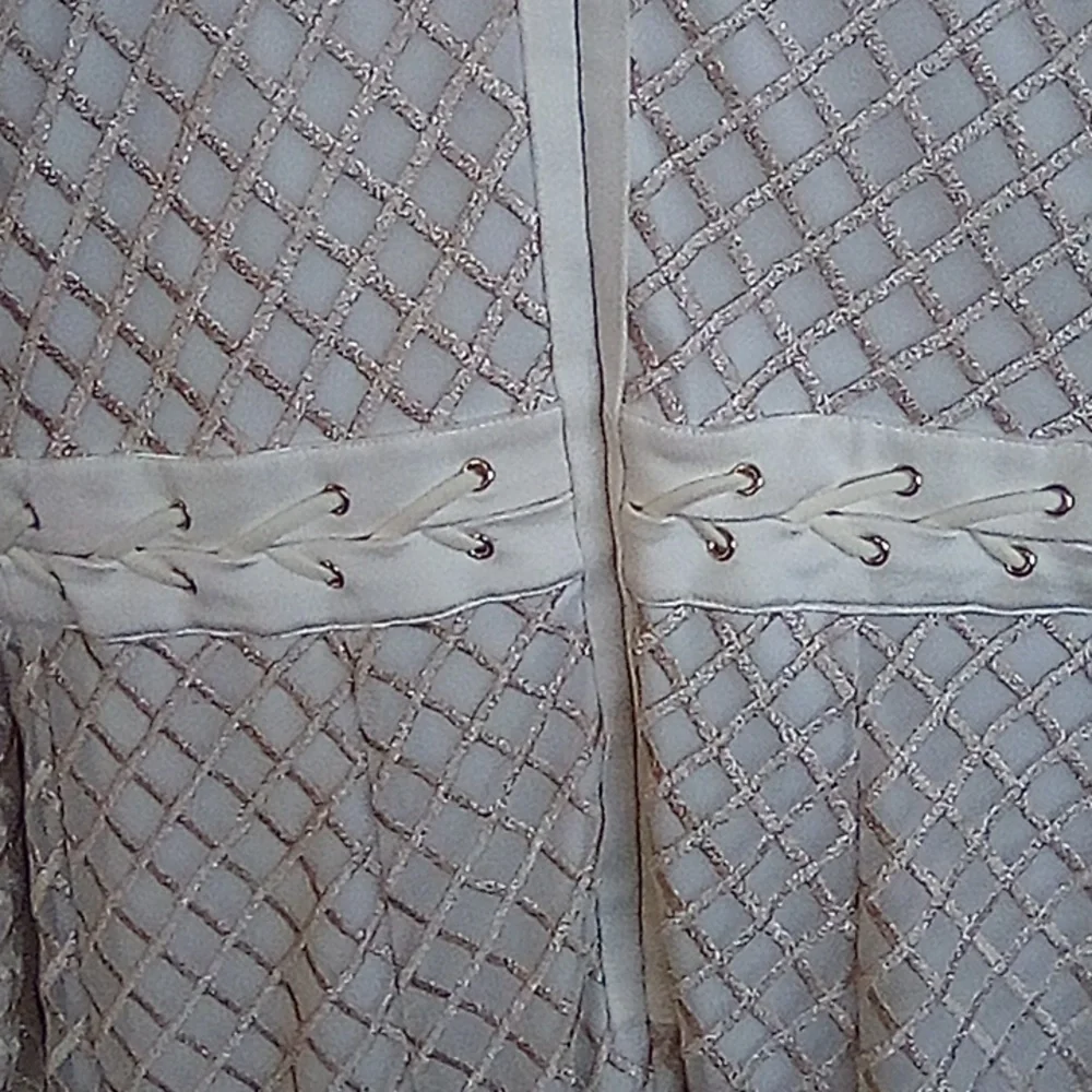 Bebe Fancy Party Cocktail Sheer Dress With Slip Lining . Size 10. - Picture 7 of 11